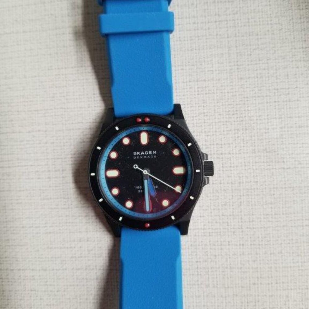 Skagen Fisk Quartz Watch